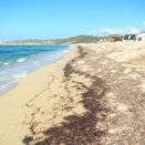 Morphologie de la plage d'Algajole avec une forte pente et des enjeux en haut de plage - Voir en grand