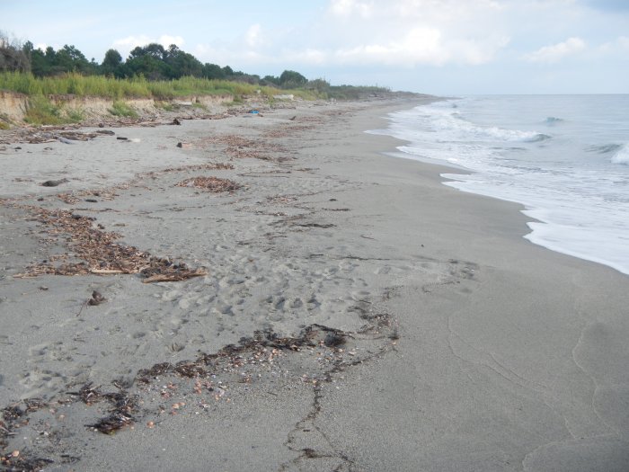 Falaise d'érosion de conglomérats en haut de plage